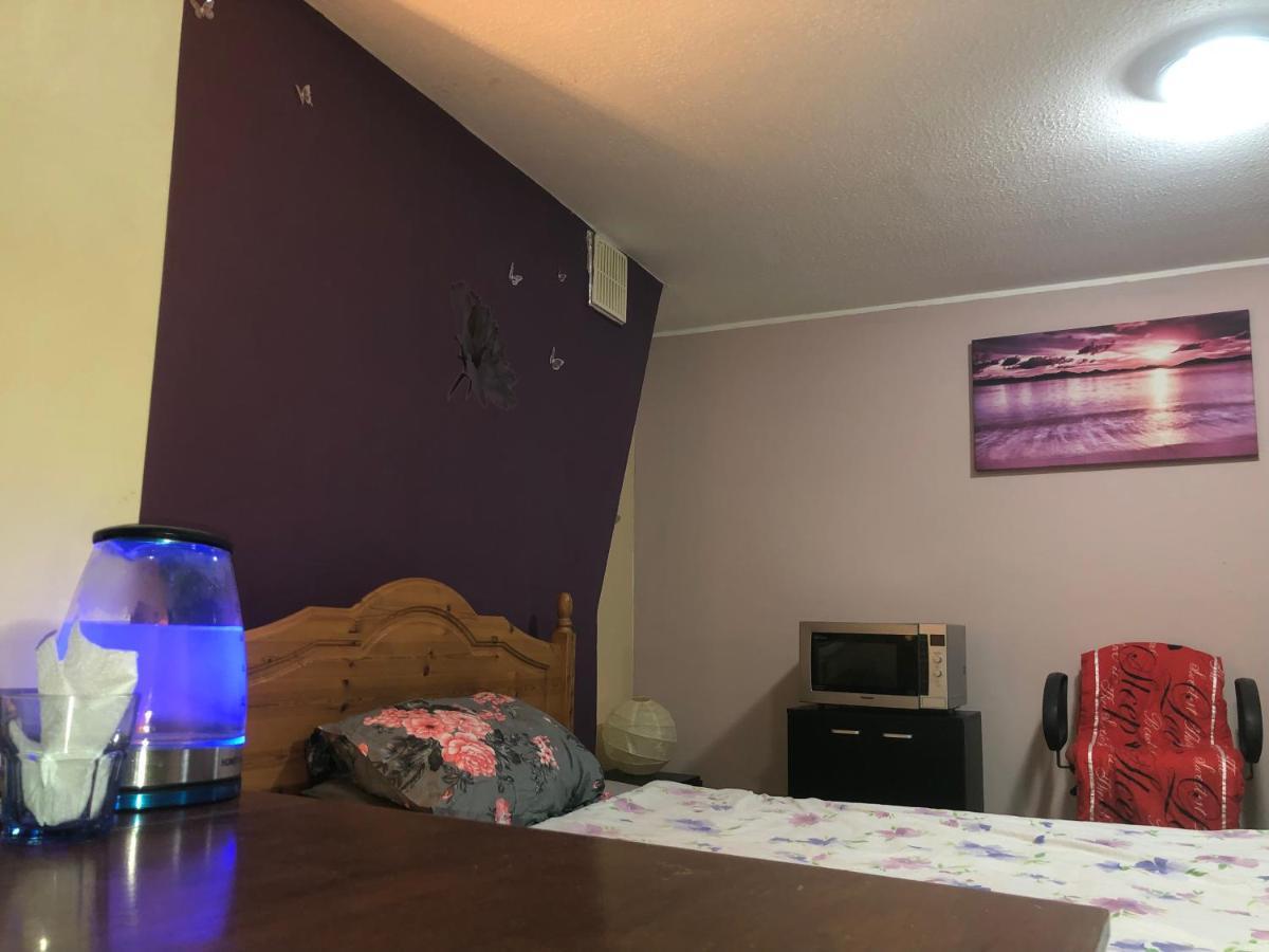 Apartamento Single Large Room 헤이스팅스 외부 사진
